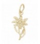 Rembrandt Charms Edelweiss Plated Silver