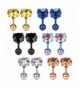 Ruifan Stainless Zirconia Earrings Piercing