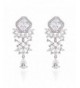 Wordless Love Princess Zirconia Teardrop