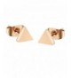 D B MOOD Classical Earring Stainless Triangle