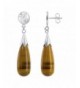 Gem Avenue Teardrop Natural Earrings