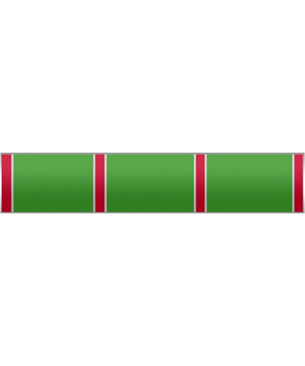 Green stripes Silver Citation Pin