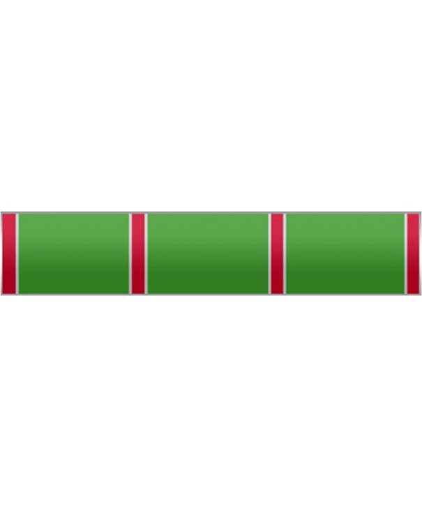 Green stripes Silver Citation Pin