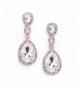 Mariell Rose Crystal Earrings Teardrops