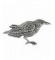 Sterling Silver Crow Raven Brooch