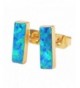 ZENGORI Rectangle Japanese Earrings G1423 2