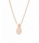 Altitude Boutique Pineapple Necklace Tropical