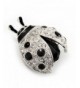 Black Enamel Ladybug Brooch Silver