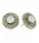 Sorrelli Aegean Accented Crystal Earrings