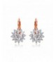 Serend Zirconia Snowflake Leverback Earrings