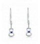 Accessory Sterling Zirconia Fishhook Earrings