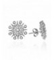 Exquisite Snowflake Zirconia Sterling Earrings