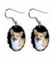 Canine Designs Pembroke Scalloped Earrings