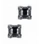 Stainless Fleur Square Earrings aae028he