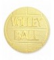 Volleyball Gold Chenille Lapel Pin