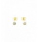 HONEYCAT Crystal Earrings Minimalist Delicate