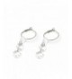 Delice Delight Earrings Paris Silver Swarovski