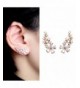 EVERU Womens Crystal Earrings Pierced