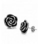 Dreamslink Elegant Titanium Stainless Earring