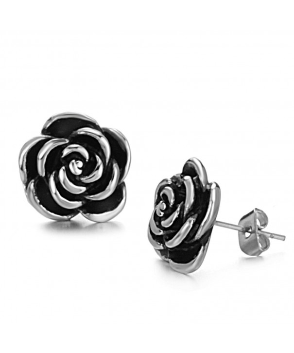 Dreamslink Elegant Titanium Stainless Earring