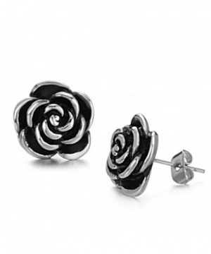 Dreamslink Elegant Titanium Stainless Earring