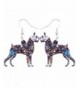 Bonsny Acrylic Earrings Fashion Jewelry