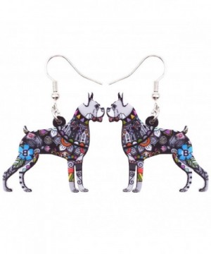 Bonsny Acrylic Earrings Fashion Jewelry