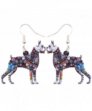 Bonsny Acrylic Earrings Fashion Jewelry