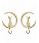 Plated shape lovely Women Earrings