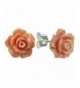 Sterling Silver Simulated Orange Earrings