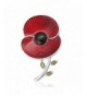 Brooches Remembrance Sunday Rhinestone Banquet