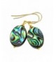 Filled Mother Abalone Earrings Peacock