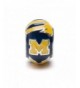 University Michigan Wolverines Officially Stainless