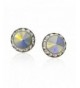 PammyJ Aurora Borealis Crystal Earrings