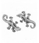 Corinna Maria Sterling Silver Earrings Stainless