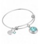 Halos Glories Crystal Silver Bracelet
