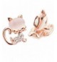 CNCbetter Fashion Jewelry plated Earring