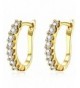 Stylish Jewelry Crystals Leverback Earrings