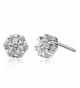 anewish Zirconia Sterling Silver Earrings