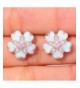 Women's Stud Earrings