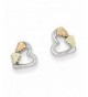 Sterling Polished Earrings Black Gold